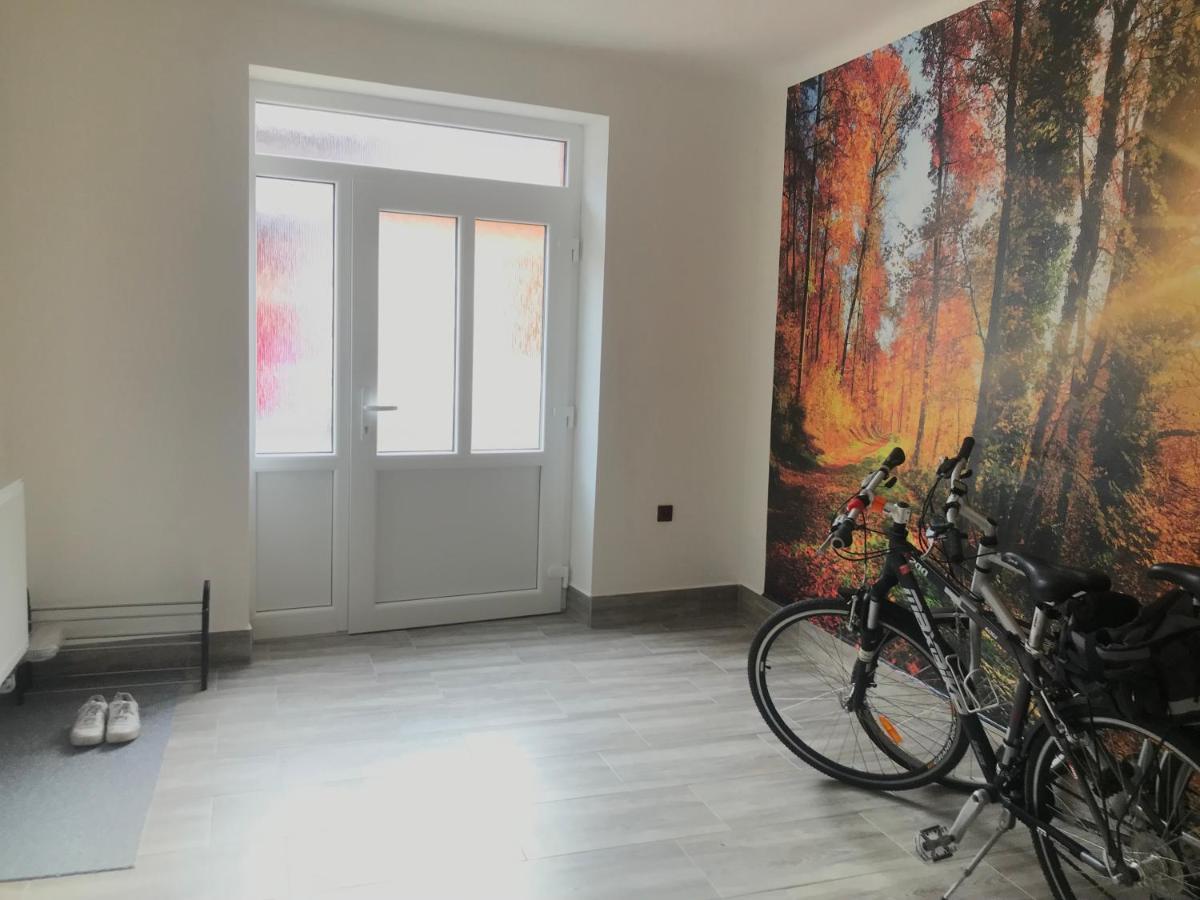 Cyklo-Moto Apartman Lomnice nad Luznici Екстер'єр фото